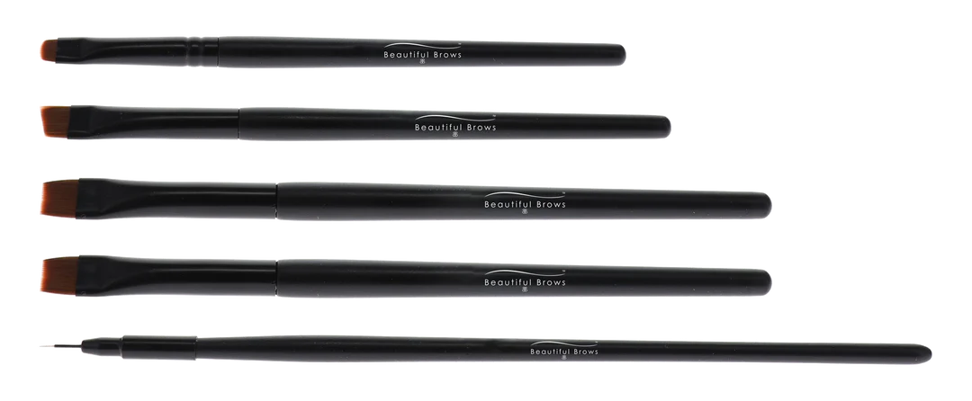 PRECISION ARTISTRY BRUSHES - 5PC